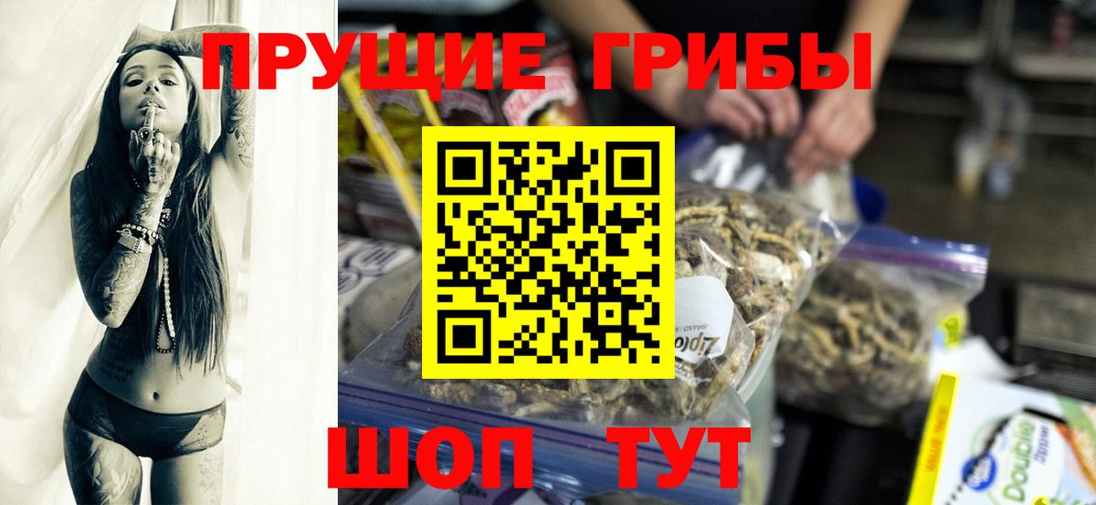 Галлюциногенные грибы Psilocybe Реж